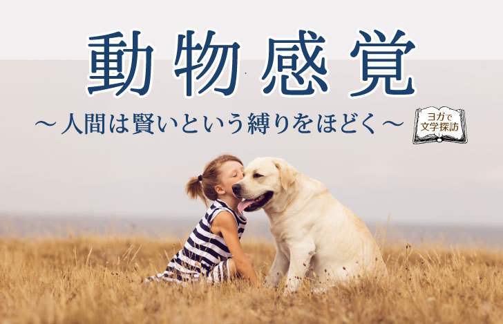 白い大きな犬と少女、動物感覚のタイトル