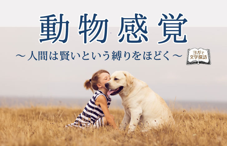 白い大きな犬と少女、動物感覚のタイトル