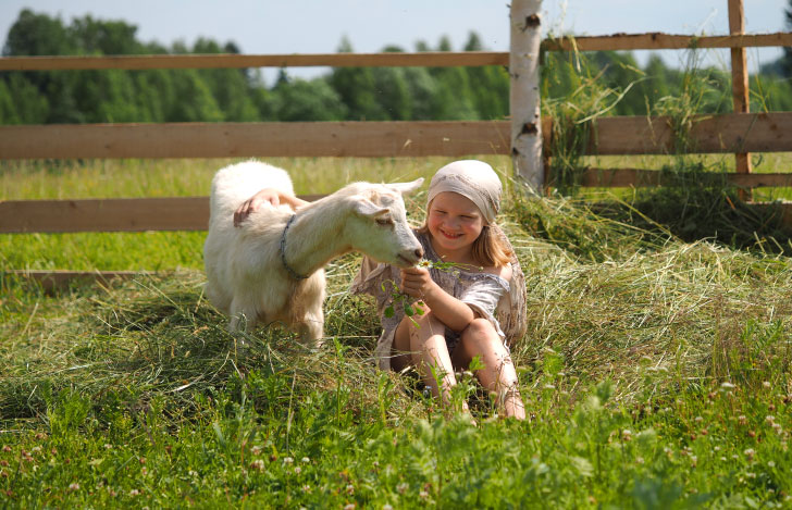 草原の干し草に座るひつじと少女
