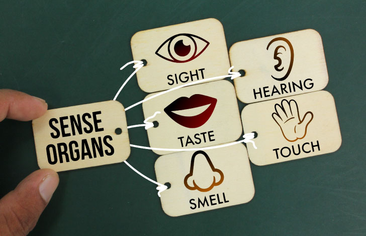 五感を表すイラストが描かれた木製のカードと人の手