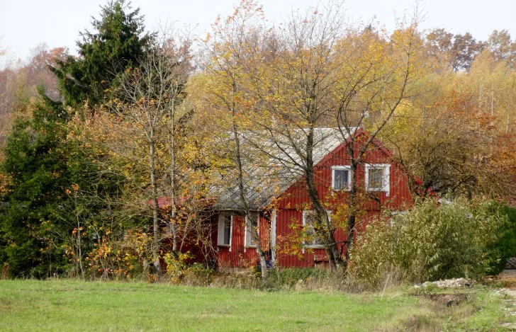 林の中に立つ煉瓦色の壁の一軒の家