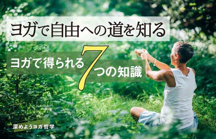 森の中で安楽座で座り両手で何かを掬い上げようとしている女性の後ろ姿