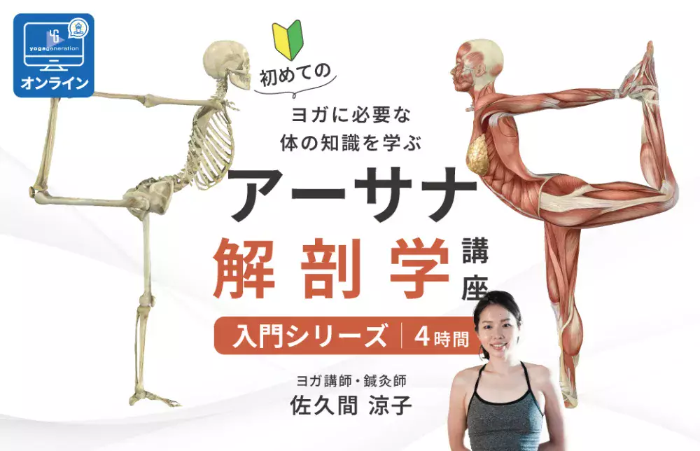 秘伝 ヨガ特集 楽天市場】ヨガ（その他｜エンターテインメント）：本・雑誌・コミック