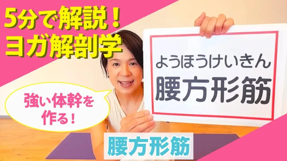 【5分で解説！ヨガ解剖学】今日のテーマは強い体幹を作ってくれる腰方形筋！