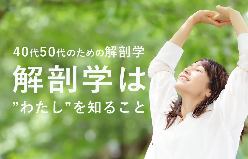 私のための解剖学