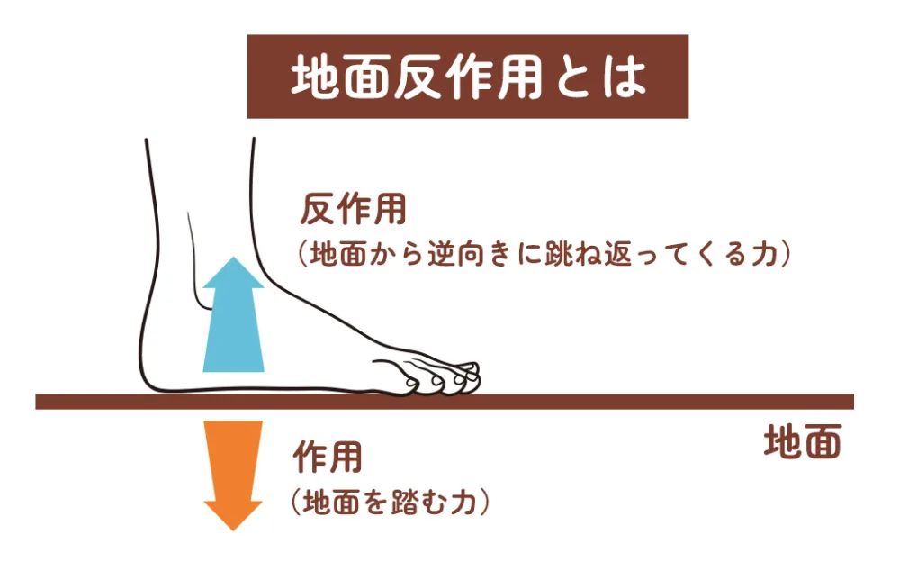 地面反作用とは