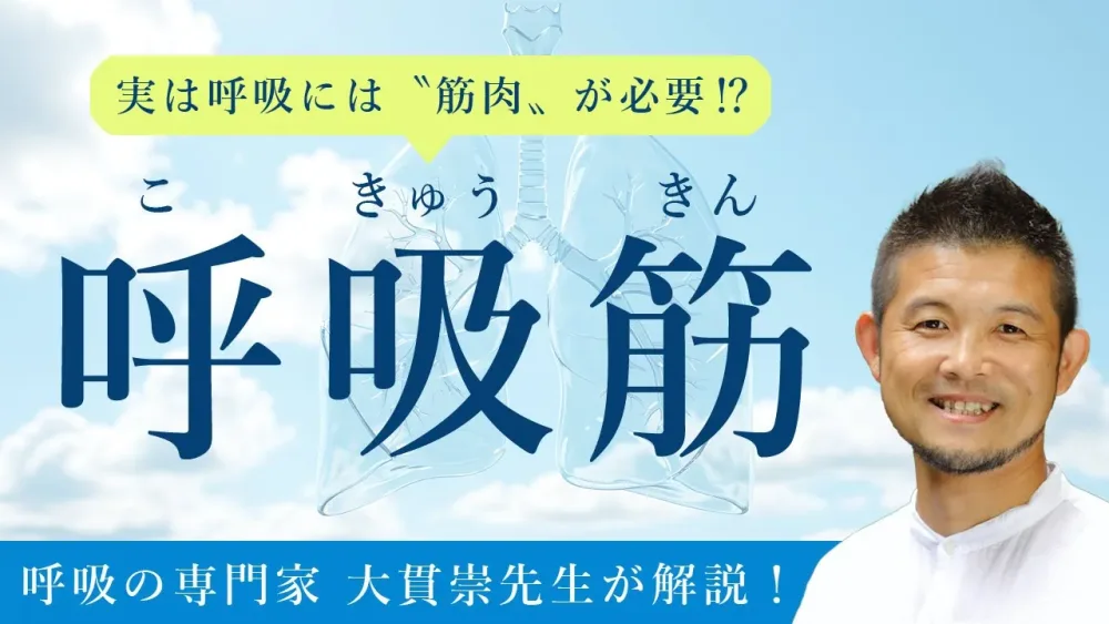 肺は筋肉によって動かされているって、ご存じでしたか？「 呼吸筋」について、呼吸コンサルタント：大貫崇先生に説明していただきました！