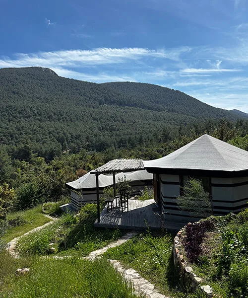 自然豊かな地域