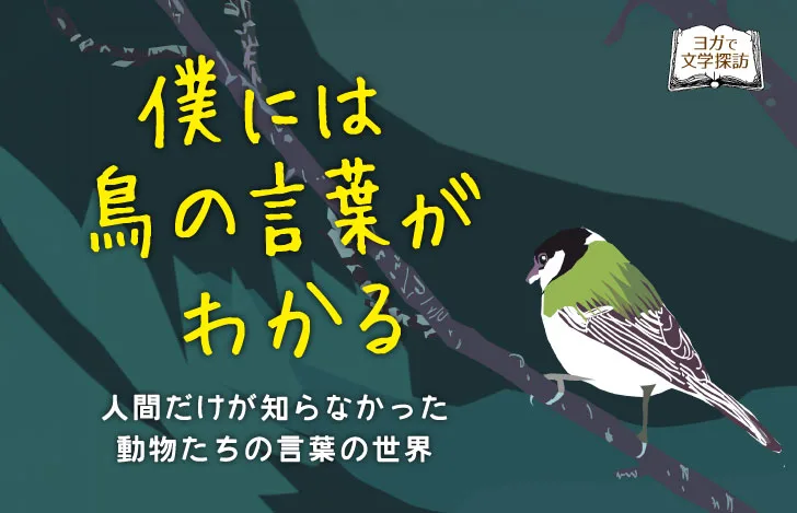 枝にとまるシジュウカラのイラスト