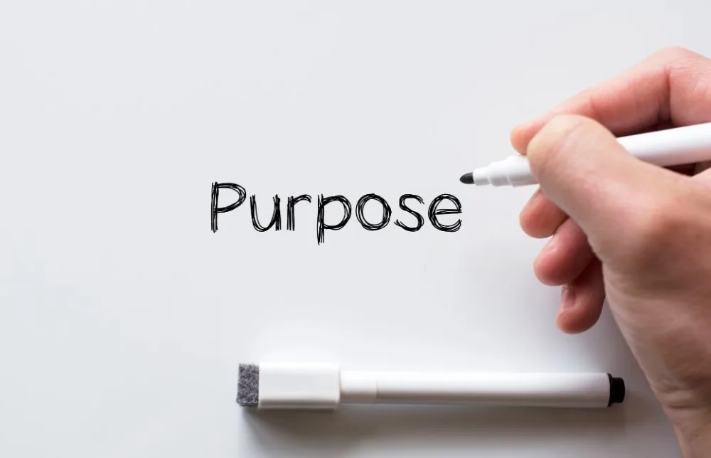 山田いずみ2026スケジュール