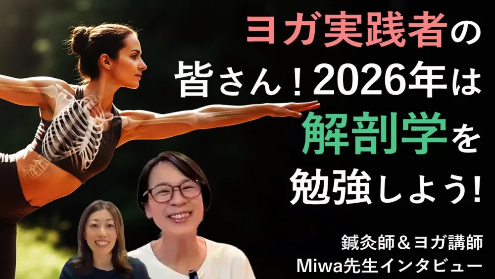 【2026年は解剖学を勉強しよう!】解剖学の勉強の始め方　鍼灸師＆ヨガ講師Miwa先生インタビュー