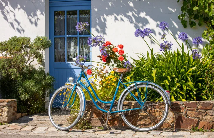 家の前の花壇に止められた青い自転車