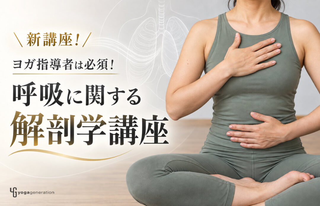 呼吸に関する解剖学講座