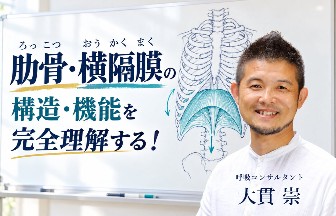 肋骨横隔膜を完全理解