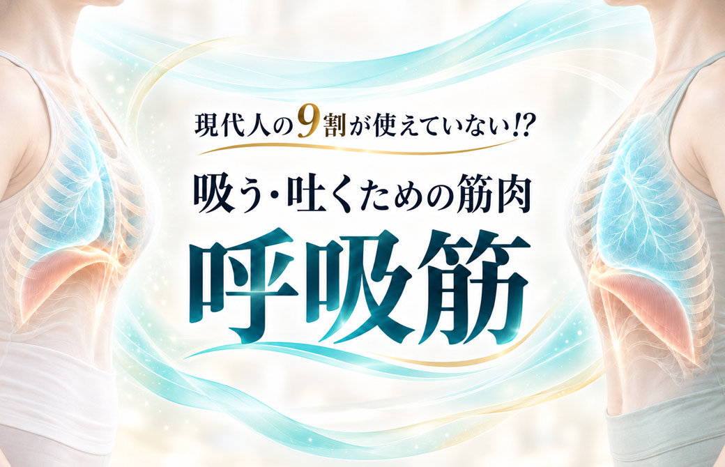 吸う吐くための筋肉呼吸筋
