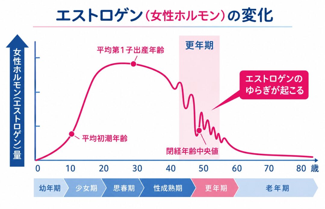 女性のエストロゲンの変化